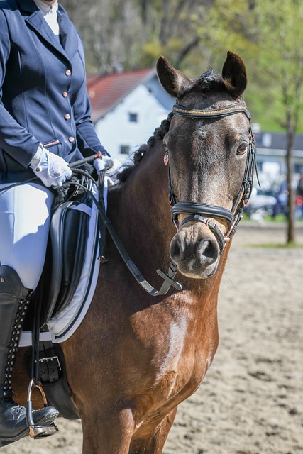 背后隐藏的 背后隐藏的